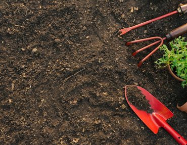 blog_featured_1 blog_featured_1